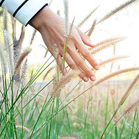Sustainability